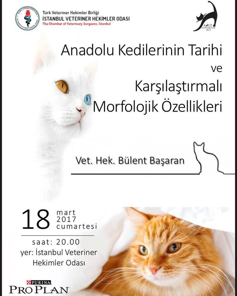 Anadolu Kedilerinin Tarihi ve Karşılaştırmalı Morfolojik Özellikleri