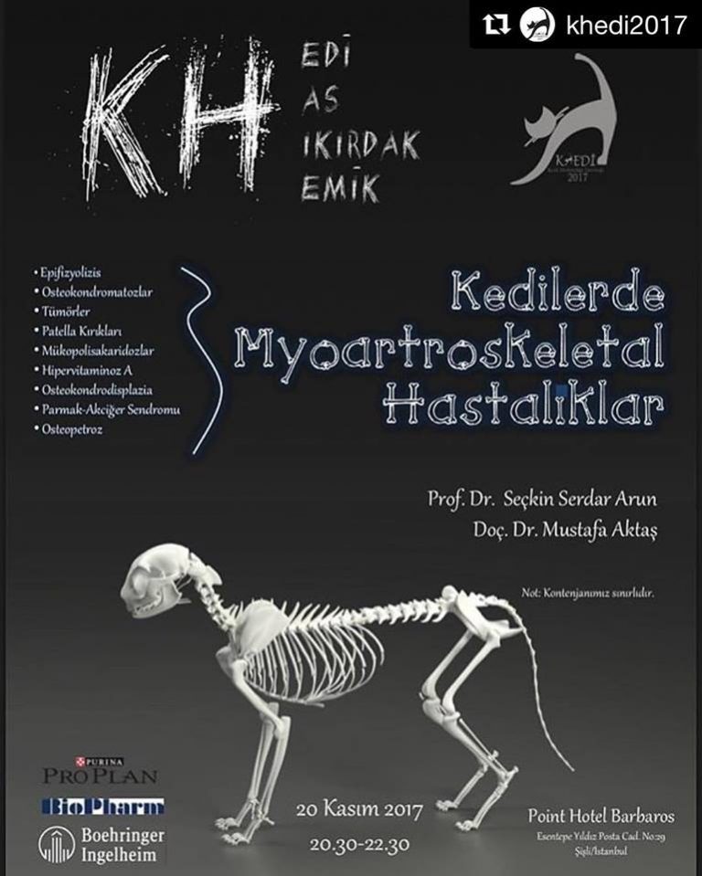 Kedilerde Myoartroskeletal Hastalıklar