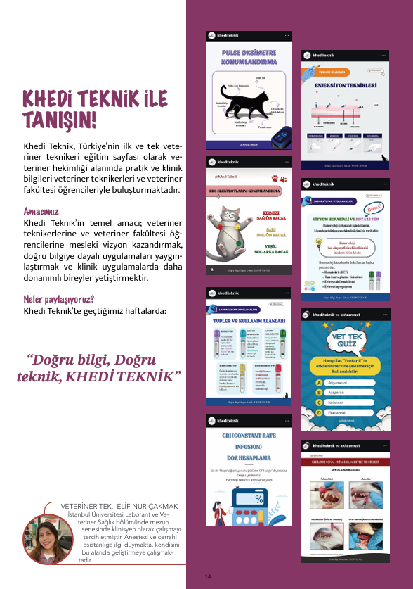 Mart 2026